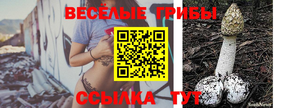 Псилоцибиновые грибы Psilocybe  Вход с VPN  Воткинск 